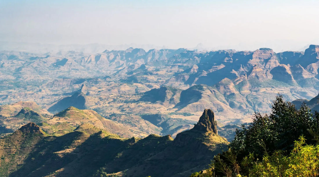 Coffee Cartography: Mountains, Minerals, and Morning Brews - Faborava